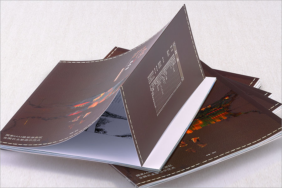 黑眼睛廣告為雁鳴湖旅游度假村印刷的新版大型風(fēng)光畫冊(cè)之封面拉頁(yè)展示