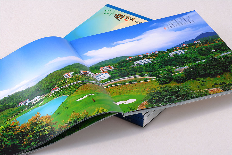 黑眼睛廣告為雁鳴湖旅游度假村印刷的大型風(fēng)光畫冊(cè)之內(nèi)頁(yè)別墅群部分