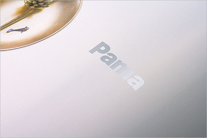 黑眼睛廣告為Pama印刷的產(chǎn)品畫冊(cè)內(nèi)頁(yè)實(shí)拍效果，印刷工藝為CMYK+專銀（五色印刷）