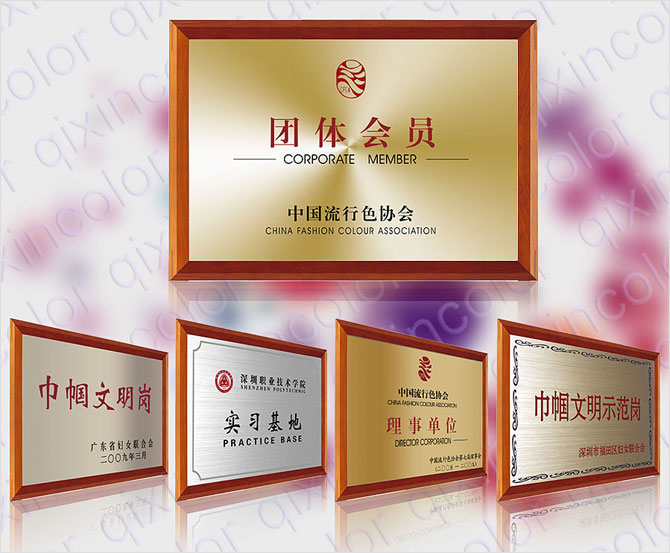 黑眼睛廣告為祺馨色彩拍攝的銅制獎(jiǎng)牌